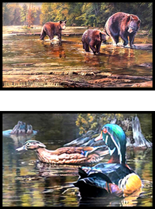 bears and ducks